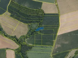Prodej lesa, Černíkovice, 2471 m2
