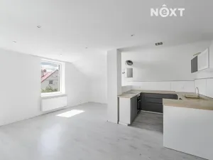 Prodej rodinného domu, Staré Město, Jamnická, 250 m2