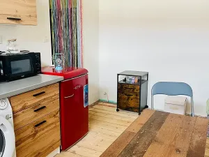 Prodej bytu 1+1, Karlovy Vary, Nad Dvorem, 43 m2