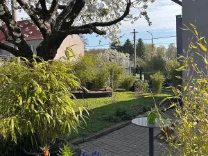 Prodej rodinného domu, Hrob, 258 m2