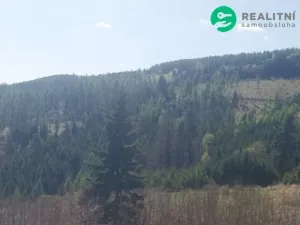 Prodej lesa, Spešov, 2317 m2