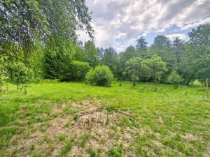 Prodej pozemku, Pohled, Rouštany, 2377 m2