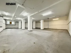 Pronájem skladu, Plzeň, Zikmunda Wintra, 520 m2