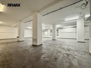 Pronájem skladu, Plzeň, Zikmunda Wintra, 520 m2