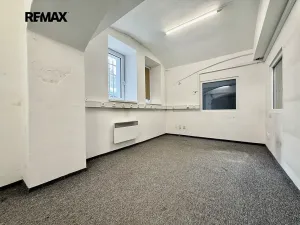 Pronájem skladu, Plzeň, Zikmunda Wintra, 520 m2
