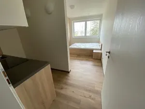 Pronájem bytu 1+kk, Jihlava, Okružní, 33 m2