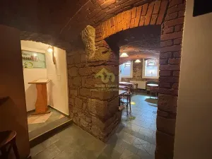 Pronájem restaurace, Plzeň, Lindauerova, 124 m2