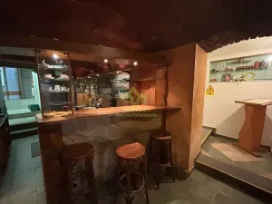 Pronájem restaurace, Plzeň, Lindauerova, 124 m2
