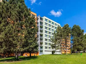 Prodej bytu 2+1, Pelhřimov, Osvobození, 60 m2