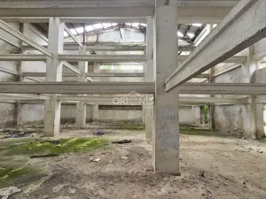 Prodej komerčního pozemku, Lubenec - Libyně, 8620 m2