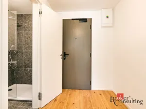 Pronájem bytu 1+kk, Brno - Zábrdovice, Bratislavská, 24 m2
