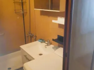 Prodej bytu 1+kk, České Budějovice - České Budějovice 2, Dlouhá, 27 m2
