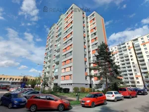 Prodej bytu 1+kk, České Budějovice - České Budějovice 2, Dlouhá, 27 m2