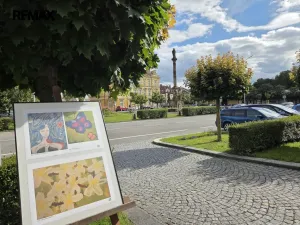 Pronájem bytu 1+1, Opočno, Pohořská, 39 m2