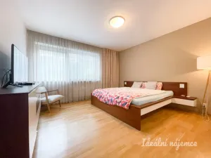 Pronájem bytu 3+kk, Brno - Stránice, Bohuslava Martinů, 121 m2