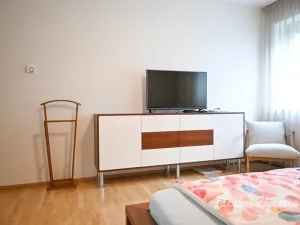 Pronájem bytu 3+kk, Brno - Stránice, Bohuslava Martinů, 121 m2