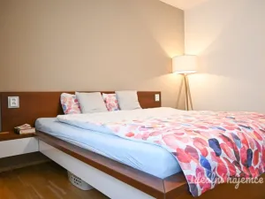 Pronájem bytu 3+kk, Brno - Stránice, Bohuslava Martinů, 121 m2