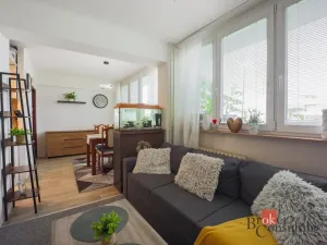 Prodej bytu 1+kk, Mladá Boleslav - Mladá Boleslav III, Jičínská, 39 m2