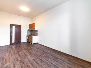 Pronájem bytu 1+kk, Praha - Libeň, Prosecká, 30 m2