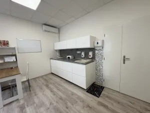 Pronájem kanceláře, Zábřeh, Žižkova, 25 m2