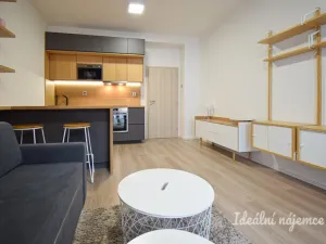 Pronájem bytu 1+kk, Brno - Zábrdovice, Přadlácká, 28 m2