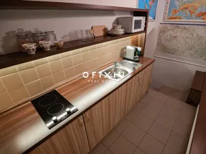 Prodej bytu 5+kk, Brno, Nerudova, 287 m2