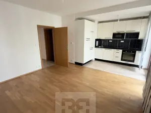 Pronájem bytu 2+kk, Praha - Dejvice, Lindleyova, 51 m2