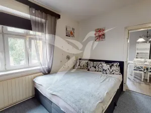 Pronájem bytu 2+kk, Planá, Revoluční, 50 m2