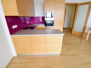 Pronájem bytu 1+kk, Brno - Stránice, Bohuslava Martinů, 50 m2