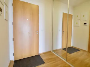 Pronájem bytu 1+kk, Brno - Stránice, Bohuslava Martinů, 50 m2