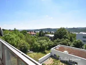 Pronájem bytu 1+kk, Brno - Stránice, Bohuslava Martinů, 50 m2