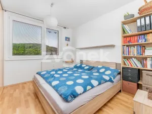 Pronájem bytu 3+kk, Luhačovice, Družstevní, 80 m2