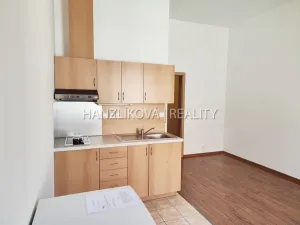 Pronájem bytu 1+kk, České Budějovice - České Budějovice 3, Riegrova, 30 m2