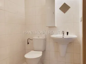 Pronájem bytu 1+kk, České Budějovice - České Budějovice 3, Riegrova, 30 m2