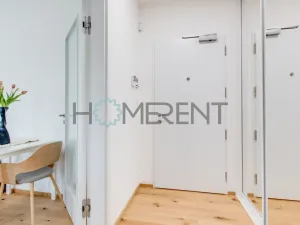 Pronájem bytu 1+kk, Praha - Nusle, Závišova, 30 m2