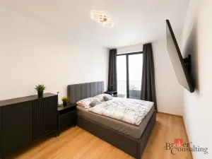 Pronájem bytu 2+kk, Plzeň - Jižní Předměstí, Měděná, 62 m2