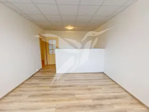 Pronájem bytu 2+1, Staňkov, Na Tržišti, 61 m2