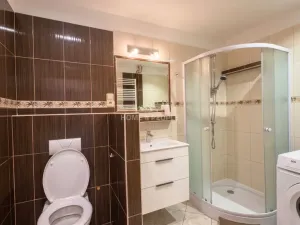 Pronájem bytu 2+kk, České Budějovice - České Budějovice 3, Riegrova, 41 m2