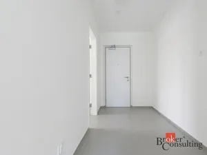 Pronájem bytu 1+kk, Plzeň - Východní Předměstí, Zahradní, 40 m2