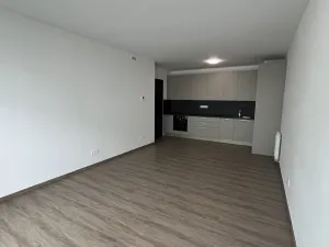 Pronájem bytu 2+kk, Olomouc - Nová Ulice, Třída Jiřího Pelikána, 56 m2