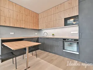 Pronájem bytu 2+kk, Brno - Trnitá, Placzkova, 51 m2