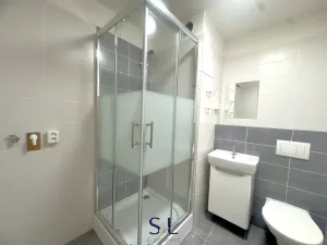Pronájem bytu 1+1, Liberec, Na Pískovně, 36 m2