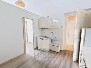 Prodej bytu 1+1, Praha - Staré Město, Bílkova, 55 m2