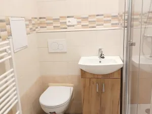 Pronájem bytu 1+1, Havlíčkův Brod, Kokořínská, 40 m2