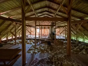Prodej rodinného domu, Valšov, 520 m2