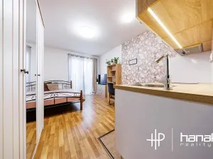 Pronájem bytu 1+kk, Olomouc, Edvarda Beneše, 23 m2