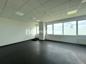 Pronájem kanceláře, Brno, Letiště Brno-Tuřany, 300 m2