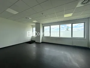 Pronájem kanceláře, Brno, Letiště Brno-Tuřany, 600 m2