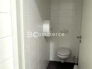 Pronájem kanceláře, Brno, Letiště Brno-Tuřany, 600 m2