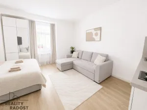 Prodej bytu 1+kk, Praha - Nové Město, Petrská, 29 m2